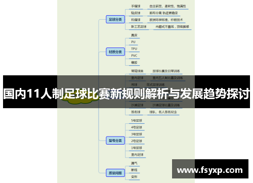 国内11人制足球比赛新规则解析与发展趋势探讨